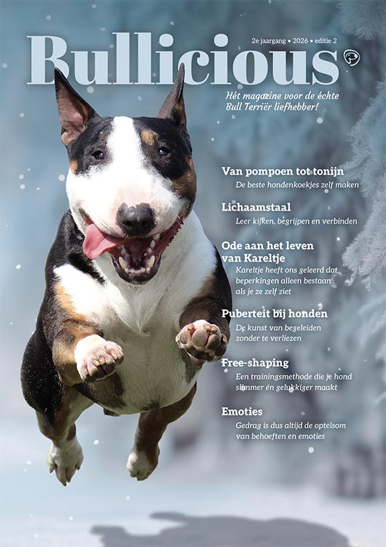 Bullicious Magazine Editie 2