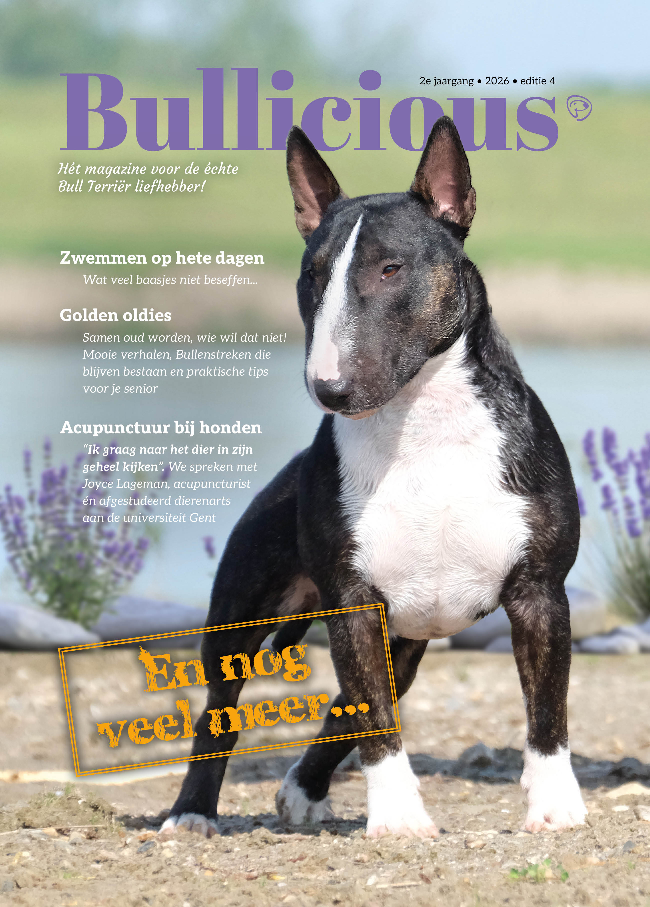 Bullicious Magazine Editie 4